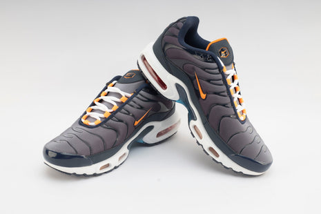 Baskets Nike TN Air Max plus Gris.