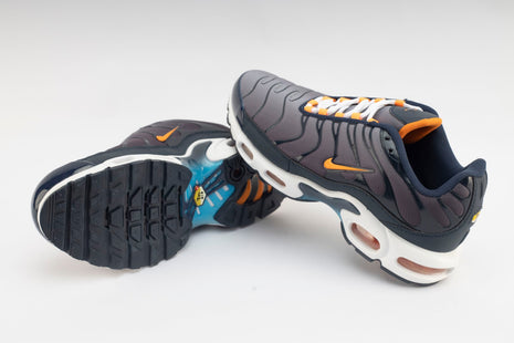 Baskets Nike TN Air Max plus Gris.