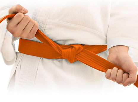 CEINTURE DES APPRENANTS